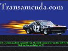 Transamcuda.com