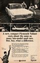 Image: 1965Valiant-PT02-65