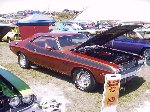 ta_fk5_fk5_07.jpg (8922 bytes)