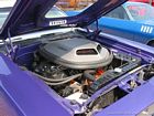Barracuda 49